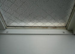 �J�r�@���|��