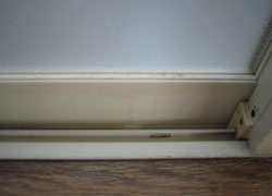 �T�b�V�̃J�r�@���|��